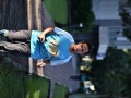Tn dsc 6120